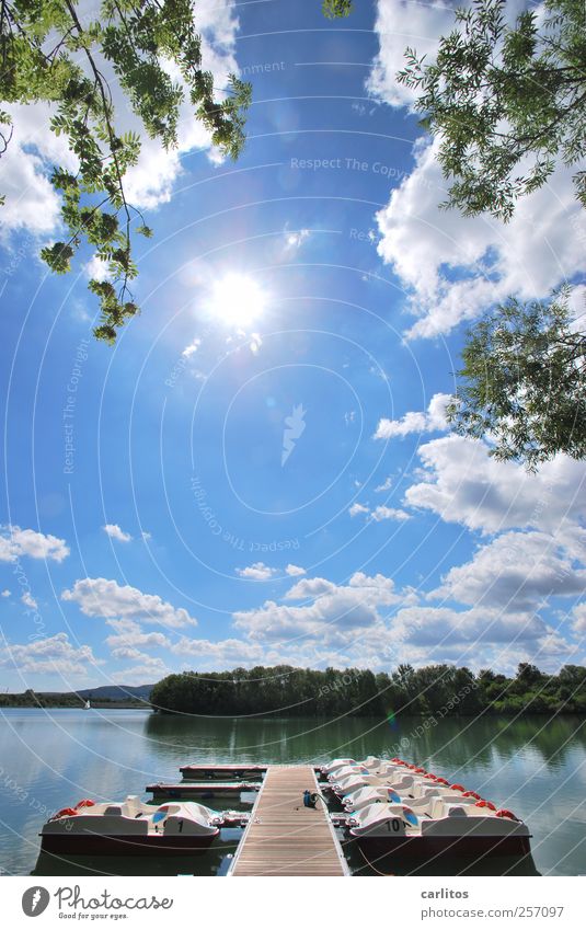 S O M M E R !!!!!!!! Natur Luft Wasser Himmel Sonne Sommer Schönes Wetter Wärme Baum Sträucher Seeufer Schwimmen & Baden Erholung ästhetisch nass blau grün weiß