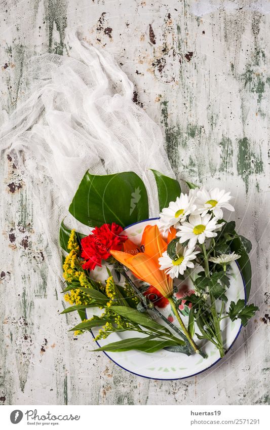 Blumenmuster mit mehreren bunten Farben elegant Stil Design exotisch Valentinstag Natur Pflanze Blatt Liebe oben Originalität mehrfarbig weiß Mischung