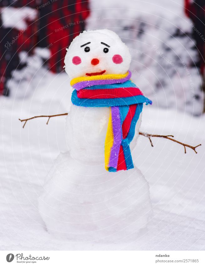 Schneemann mit einem bunten Schal Freude Winter Natur Lächeln stehen Fröhlichkeit klein niedlich mehrfarbig weiß Ferien & Urlaub & Reisen Tradition Hintergrund