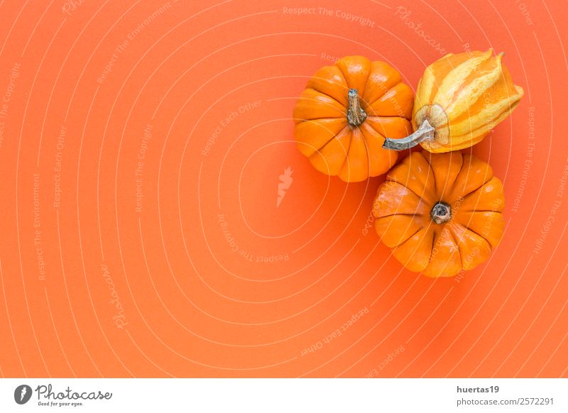 Halloween Dekoration Hintergrund Lebensmittel Gemüse Ernährung Frühstück Mittagessen Bioprodukte Vegetarische Ernährung Diät Dekoration & Verzierung