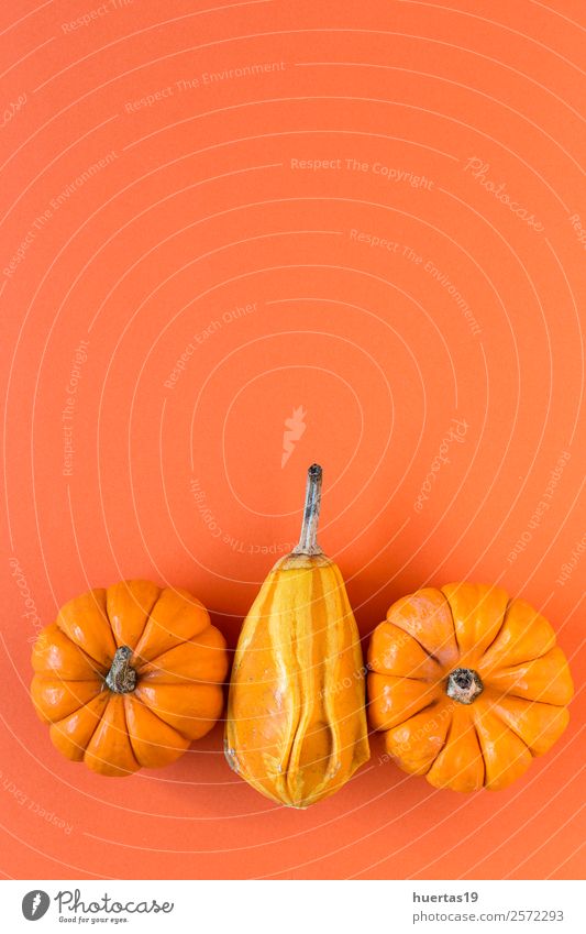 Halloween Dekoration Hintergrund Lebensmittel Gemüse Bioprodukte Vegetarische Ernährung Diät Dekoration & Verzierung Feste & Feiern Herbst Ornament lecker