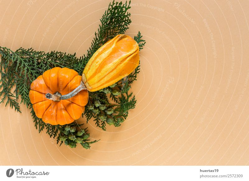 Halloween Dekoration Hintergrund Lebensmittel Gemüse Bioprodukte Vegetarische Ernährung Diät Dekoration & Verzierung Feste & Feiern Herbst Ornament lecker