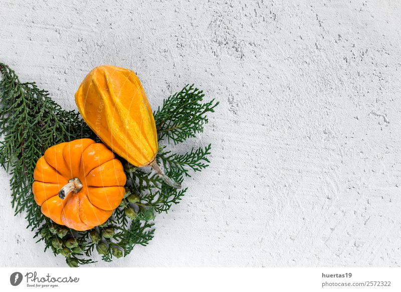 Halloween Dekoration Hintergrund Lebensmittel Gemüse Dekoration & Verzierung Feste & Feiern Herbst Ornament lecker natürlich oben sauer orange Angst Kürbis