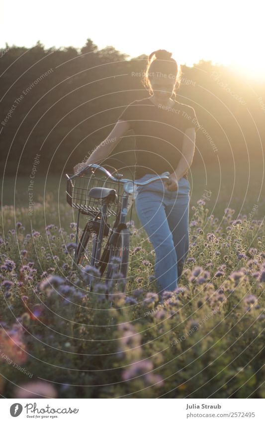 Sommer Sonne Frau Fahrrad Ausflug Fahrradtour feminin Erwachsene 1 Mensch Natur Blume phazelie Wiese Feld Wald T-Shirt Jeanshose brünett langhaarig Zopf