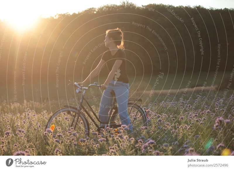 sonnenuntergang Frau Fahrrad Ausflug Fahrradtour Erwachsene 1 Mensch 30-45 Jahre Sommer Schönes Wetter Blume Gras phazelie Feld Wald T-Shirt Jeanshose brünett