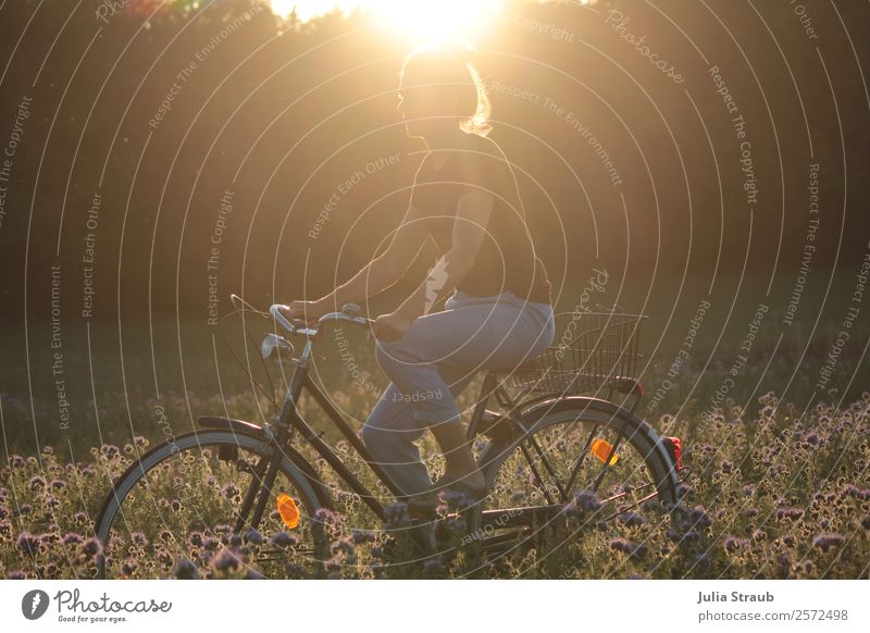 Fahrrad Sonnenuntergang Blumen Fahrradfahren feminin Frau Erwachsene 1 Mensch 30-45 Jahre Natur Landschaft Sonnenaufgang Sonnenlicht Sommer Schönes Wetter Wärme