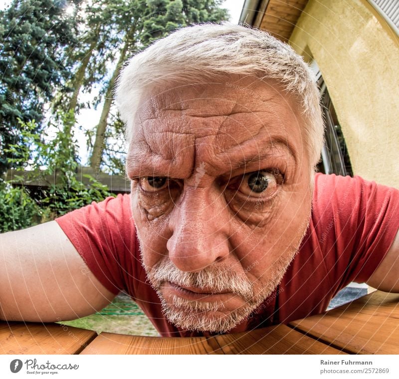 Porträt von einem seltsamen, älteren Mann Mensch maskulin Erwachsene Männlicher Senior Kopf 1 grauhaarig Bart beobachten Aggression alt bedrohlich Gefühle