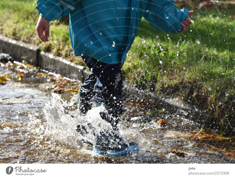 Pfützenzeit Freude Ausflug Kind Kleinkind Kindheit 1 Mensch 1-3 Jahre Wassertropfen Herbst Blatt Gummistiefel Bewegung rennen frei nass Lebensfreude