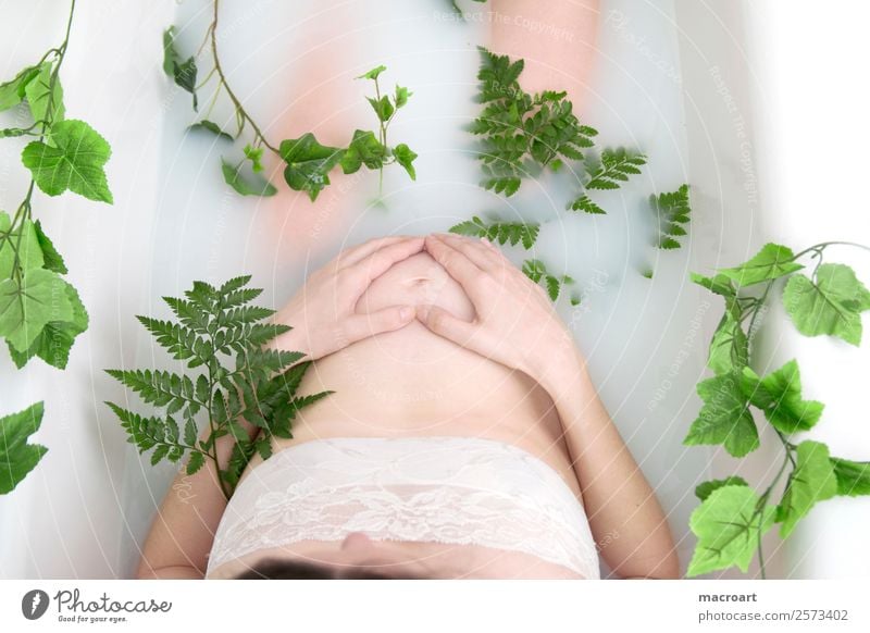 Milchbadshooting schwangerschaftsshooting babybauchshooting pflanzlich Pflanze grün körperteil Frau weiblich teilakt Photo-Shooting natürlich nackt Bauch