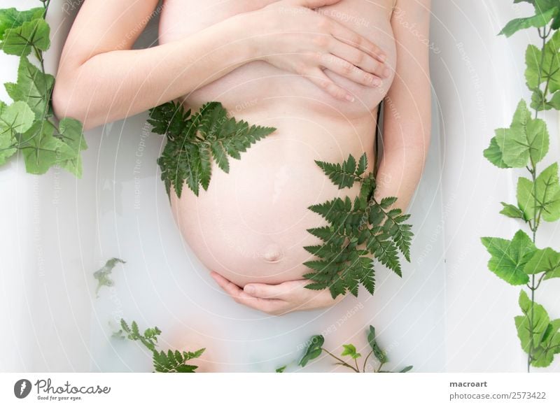 Milchbadshooting schwanger schwangerschaftsshooting Efeu Blatt grün Frau feminin pregnant Babybauch babybauchshooting Bauch Schwimmen & Baden Badewanne milchbad