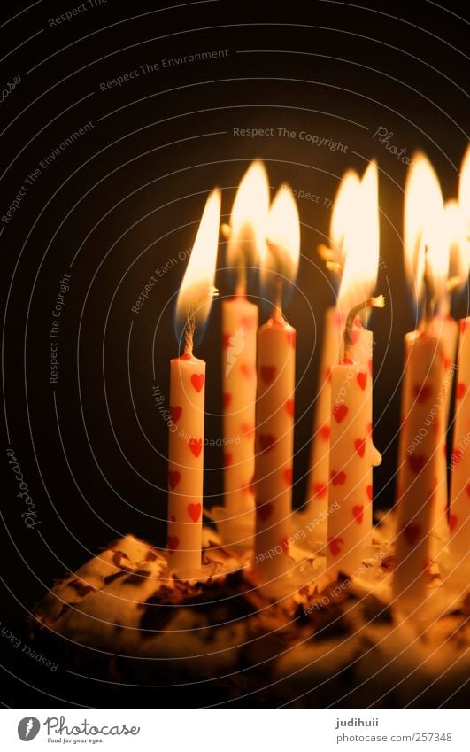 Geburtstagskuchen Kuchen Torte Dessert Feste & Feiern Kerze Kerzenschein leuchten hell rot schwarz weiß Herz schön Farbfoto Detailaufnahme Textfreiraum oben