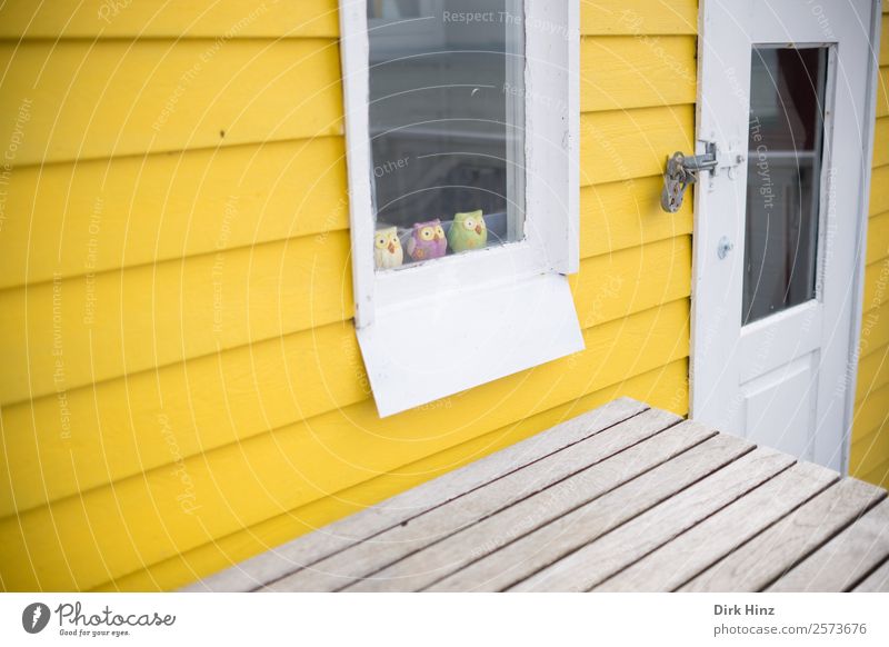 Strandhaus auf der dänischen Insel Ærø Haus Hütte Mauer Wand Fassade Fenster Tür niedlich gelb Eulenvögel Tiergruppe Dekoration & Verzierung Dänemark Farbfoto