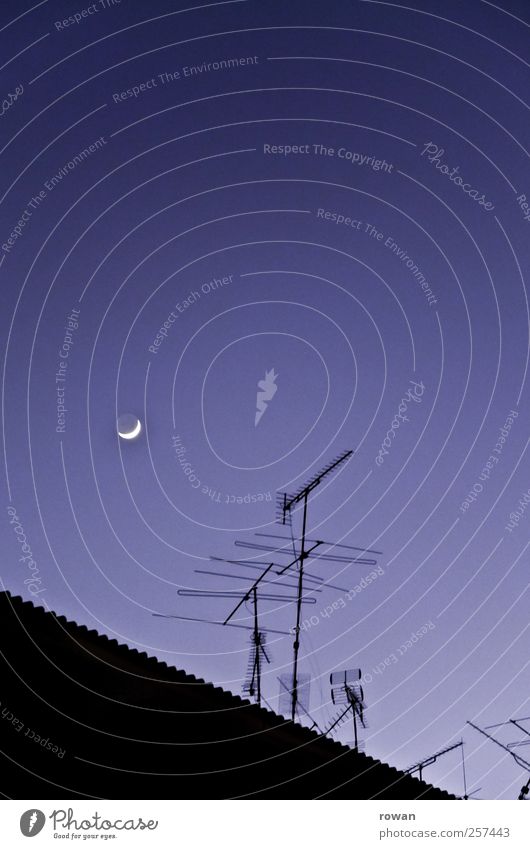 gute nacht Himmel Wolkenloser Himmel Nachthimmel Mond Häusliches Leben Antenne Funktechnik Dach schlafen dunkel blau Stadtleben Farbfoto Außenaufnahme