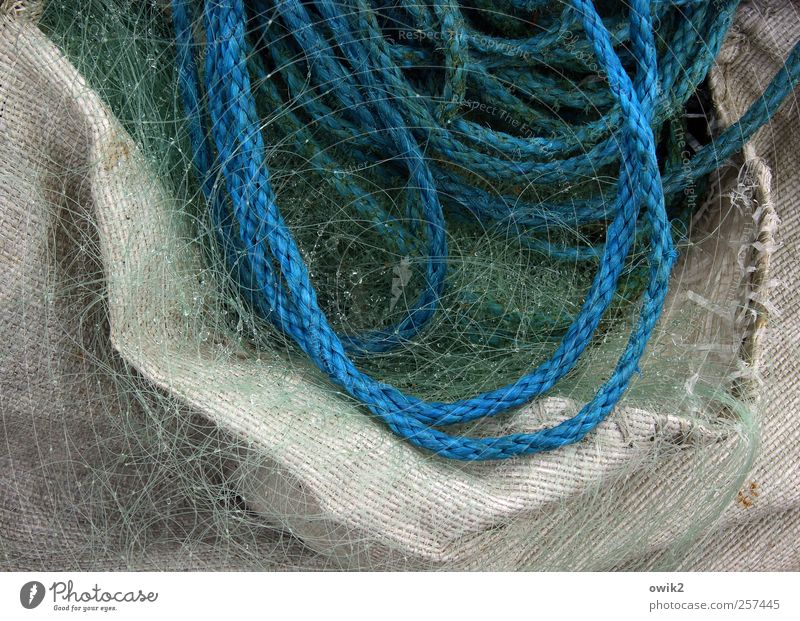 Fishermans Friend Beruf Arbeitsplatz Fischereiwirtschaft authentisch nass blau grau grün weiß Seil Netz fein fest Behälter u. Gefäße Wassertropfen Farbfoto