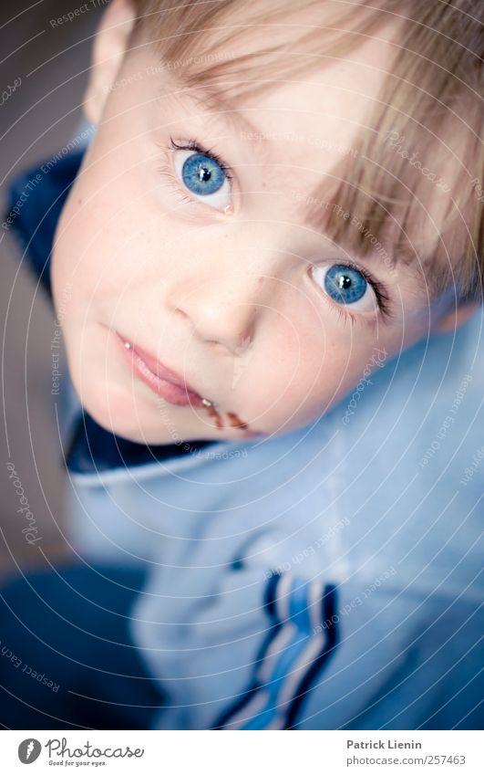 blue Mensch maskulin Kind Junge Kopf Auge 1 3-8 Jahre Kindheit beobachten frech frei Freundlichkeit Fröhlichkeit frisch schön einzigartig blau Freude