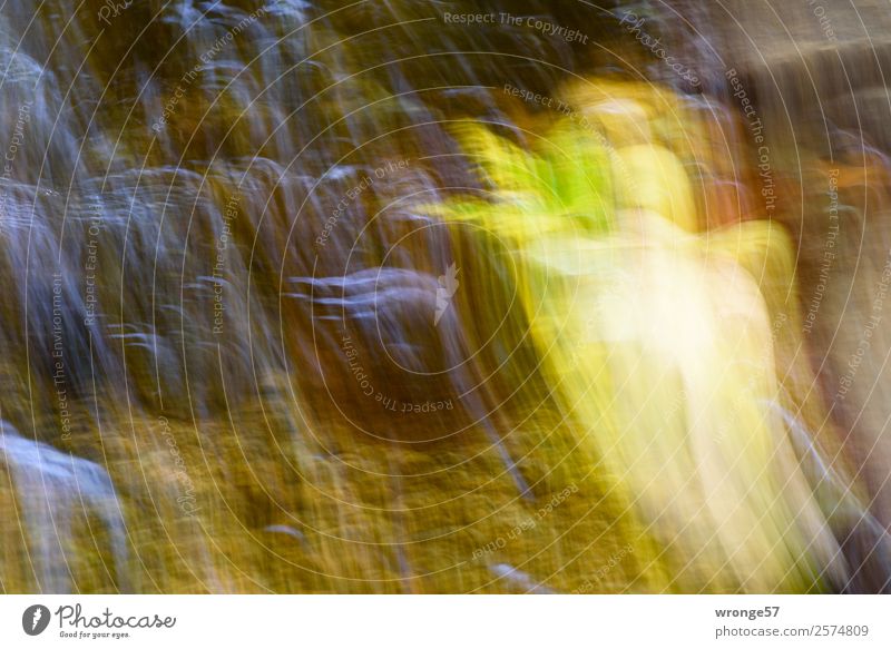 Grenzüberschreitung | Engel Natur Wasser Herbst Blatt Fluss Blick träumen braun gelb Unschärfe Wasseroberfläche Lichterscheinung Lichteinfall Bewegungsunschärfe