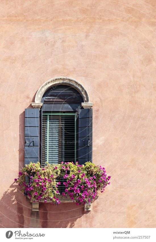 Ausblick. Kunst ästhetisch Fenster Fensterladen Fensterbrett Fensterrahmen Fensterplatz Blume Haus Italien dezent Einsamkeit Farbfoto Gedeckte Farben