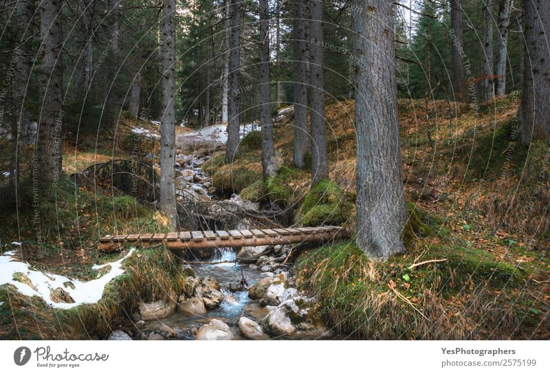 Rustikale Brücke über den Alpenfluss im Wald Ferien & Urlaub & Reisen Winter Schnee Natur Eis Frost Baum Fluss träumen einfach wild Stimmung Ehrwald alpin anowy