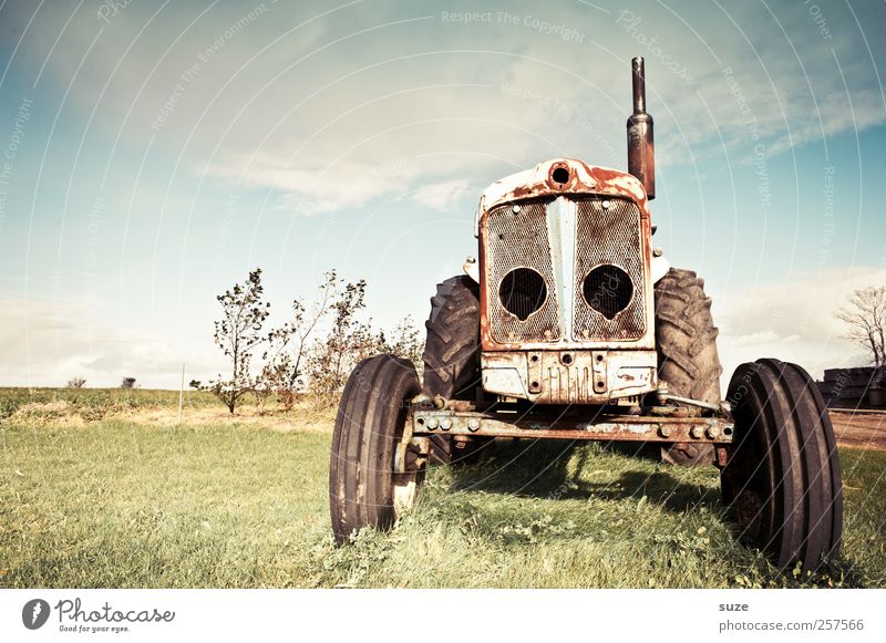 Dregga Landwirtschaft Forstwirtschaft Umwelt Natur Himmel Schönes Wetter Wiese Traktor Rost alt dreckig kaputt Vergänglichkeit Landleben Fahrzeug Gummireifen