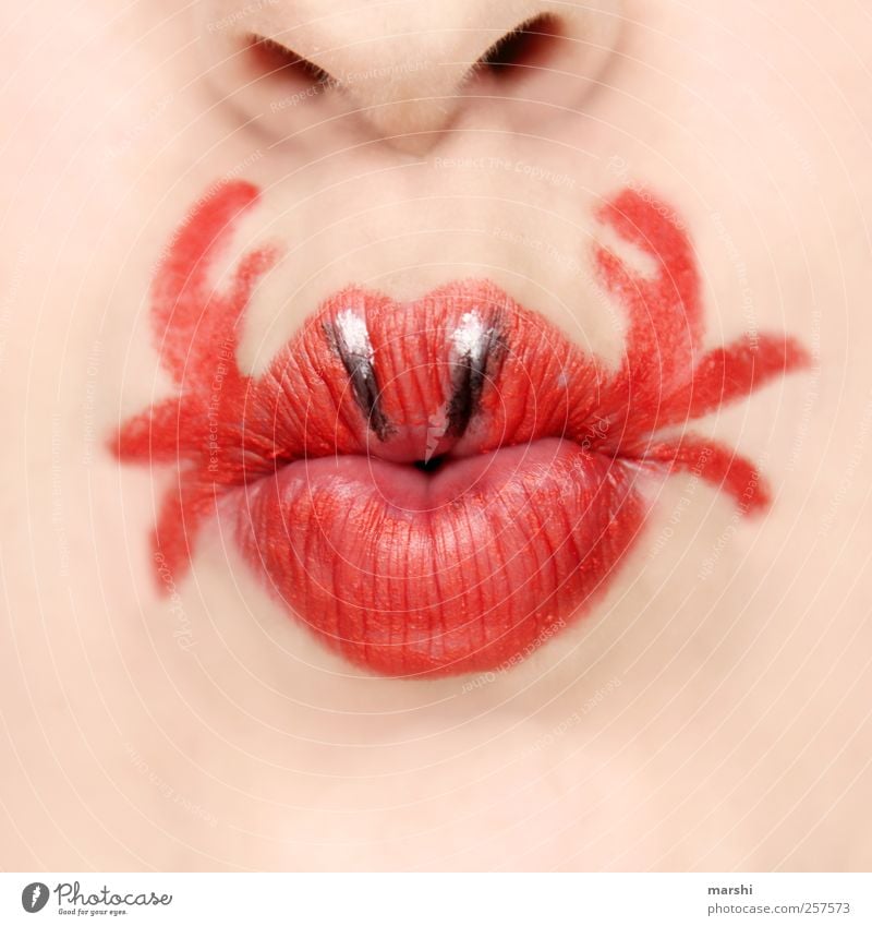gefährliche Küsse Mensch feminin Frau Erwachsene Haut Gesicht Mund Lippen rot Kussmund angemalt Krebstier Schere Küssen Nase hellhäutig Symbole & Metaphern Idee