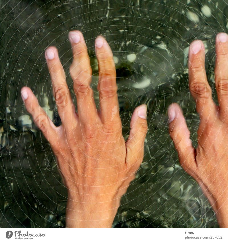 Age Of Aquarius feminin Frau Erwachsene Hand Finger Umwelt Natur Wasser Wassertropfen Wellen Küste Ostsee grün ästhetisch Zufriedenheit Körperpflege Kreativität