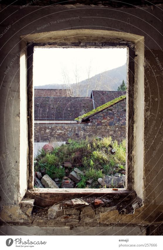 [ ] Ruine Mauer Wand Fenster alt kaputt natürlich Umrisslinie Fensterblick verfallen Beton Farbfoto Außenaufnahme Innenaufnahme Detailaufnahme Menschenleer