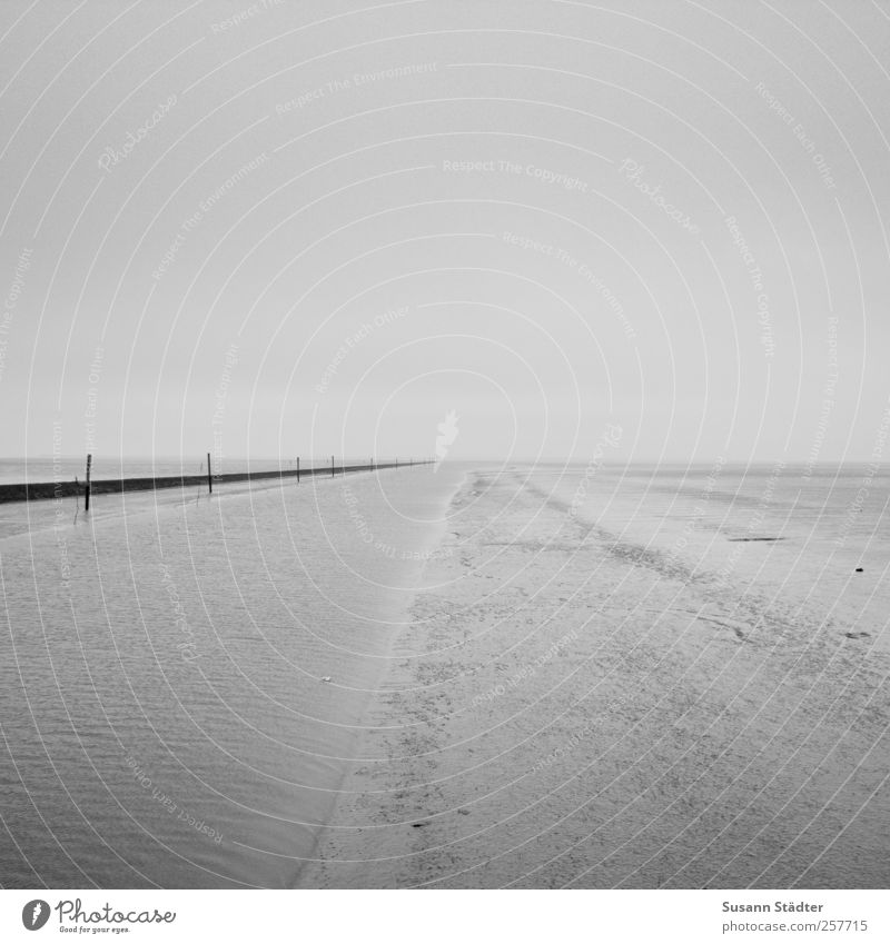 take me somwhere nice | Spiekeroog Wellen Küste Nordsee Meer Leidenschaft Hoffnung demütig Buhne Sehnsucht minimalistisch Niedrigwasser Ebbe Schwarzweißfoto