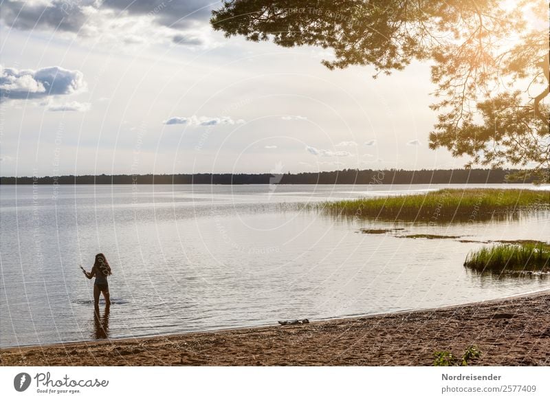 Schwedischer Sommerabend Ferien & Urlaub & Reisen Tourismus Freiheit Camping Sommerurlaub Strand Mensch feminin Frau Erwachsene Natur Landschaft Wasser Himmel