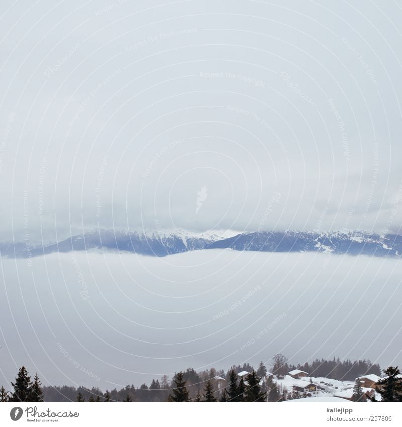 zwischen den wolken Umwelt Natur Landschaft Himmel Wolken Nebel Hügel Felsen Alpen Berge u. Gebirge Schneebedeckte Gipfel ruhig Schweiz Kanton Wallis Tal Tanne