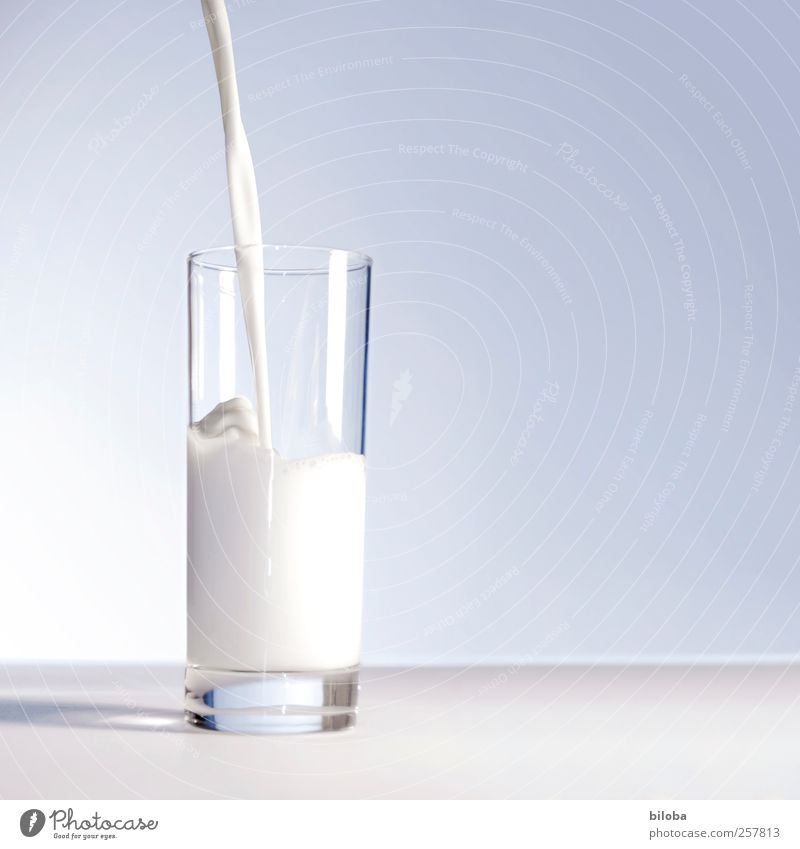 Milch macht müde Männer munter. giessen Glas Strahl Getränk trinken frisch Gesundheit hell kalt nass weiß gießen füllen Bewegung halbvoll Strukturen & Formen