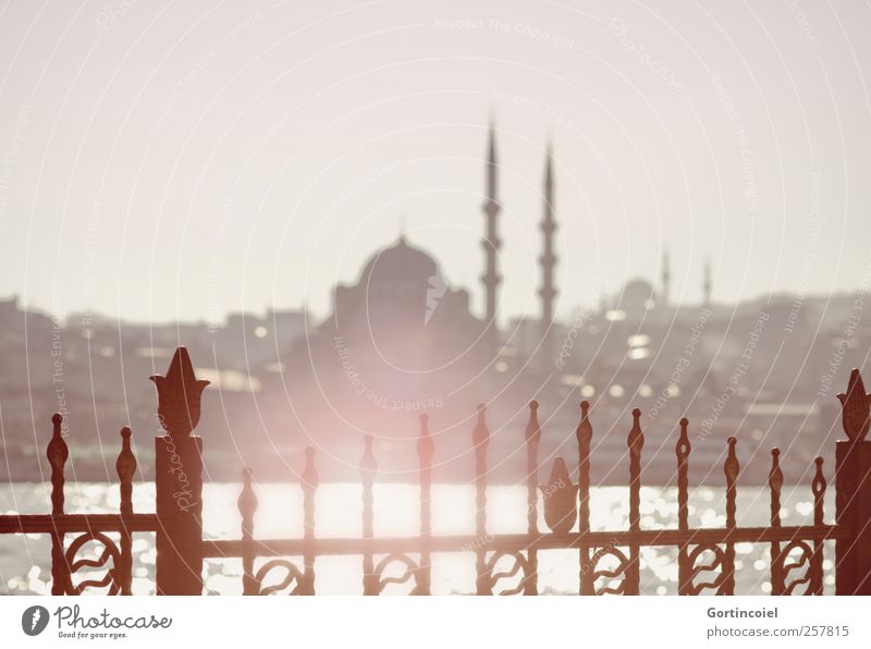 Karaköy Sehenswürdigkeit Wärme Istanbul Türkei Moschee Neue Moschee Bosporus Meer Skyline Farbfoto Außenaufnahme Textfreiraum oben Licht Reflexion & Spiegelung
