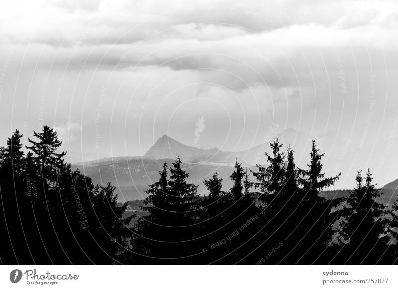 So ein Wetter Umwelt Natur Landschaft Wolken Gewitterwolken Sommer schlechtes Wetter Wind Regen Wald Alpen Berge u. Gebirge Einsamkeit einzigartig erleben