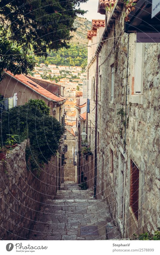 Gasse in Dubrovnik/Kroatien Ferien & Urlaub & Reisen Tourismus Ausflug Sightseeing Städtereise Sommer Sommerurlaub Europa Stadt Stadtzentrum Altstadt