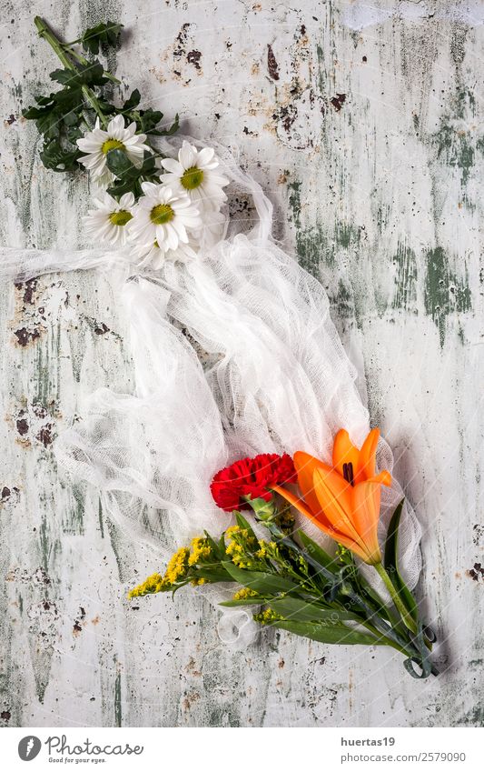 Blumenmuster mit mehreren bunten Blüten elegant Stil Valentinstag Natur Blatt Liebe natürlich weiß Farbe Mischung Hintergrund Gestell Nelken Margaritas Lilien