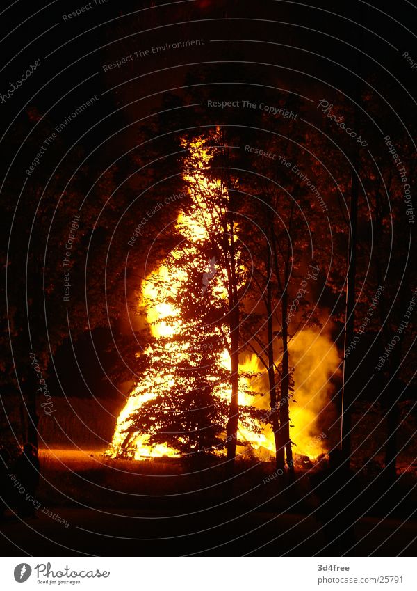Feuerschen hinterm Baum Waldlichtung Holz brennen Nacht heiß Physik Holzstapel Flackern rot gelb Brand Flamme Abend Feste & Feiern Sommersonnenwende Wärme hoch