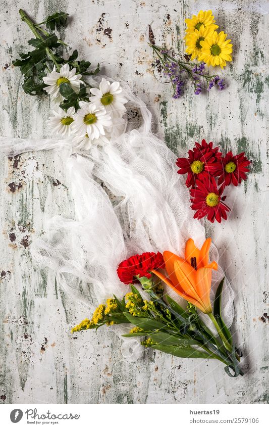 Blumenmuster mit mehreren bunten Blüten elegant Stil Valentinstag Natur Blatt Liebe natürlich oben Originalität mehrfarbig weiß Farbe Mischung Hintergrund