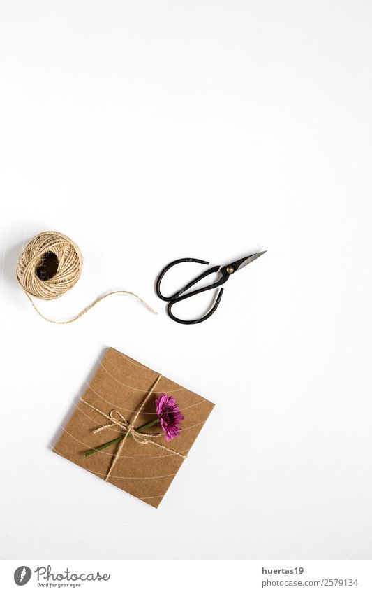 Geschenkbox mit Schnur kaufen Stil Design Feste & Feiern Geburtstag Schere Seil Blume Paket Liebe oben Originalität violett Romantik Überraschung Kasten