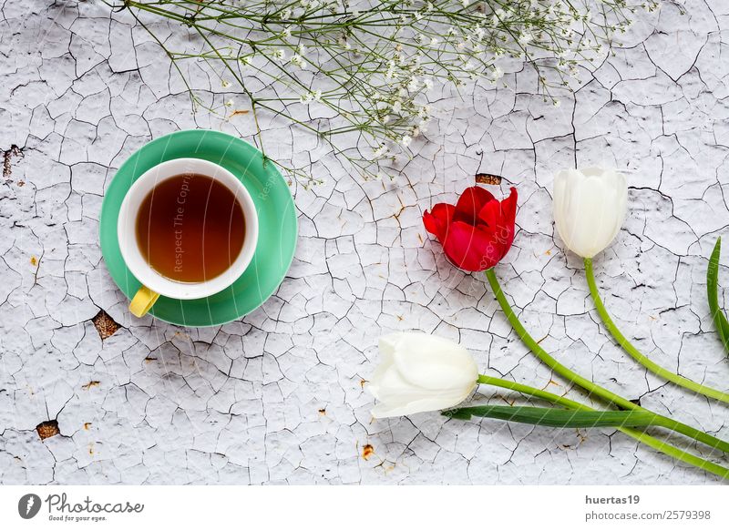 Tasse Tee mit floralem Hintergrund Getränk Heißgetränk Stil Design Valentinstag Natur Pflanze Blume Tulpe Blatt Blumenstrauß lecker natürlich oben rot Farbe
