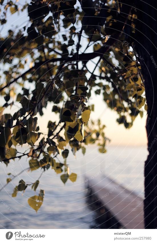 Am See. Natur ästhetisch Zufriedenheit ruhig abgelegen Gardasee Baum Anlegestelle Blatt Idylle Ferien & Urlaub & Reisen Urlaubsstimmung Urlaubsfoto Urlaubsgrüße