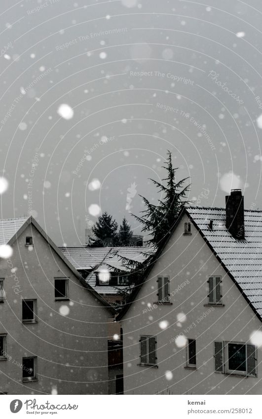 Reicht erstmal Winter schlechtes Wetter Eis Frost Schnee Schneefall Baum Dorf Kleinstadt Haus Einfamilienhaus Fassade Fenster weiß Schneeflocke grau trüb