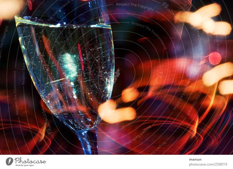 Prosit! Getränk Erfrischungsgetränk Alkohol Sekt Prosecco Champagner Longdrink Cocktail Glas Sektglas Bar Cocktailbar Feste & Feiern trinken