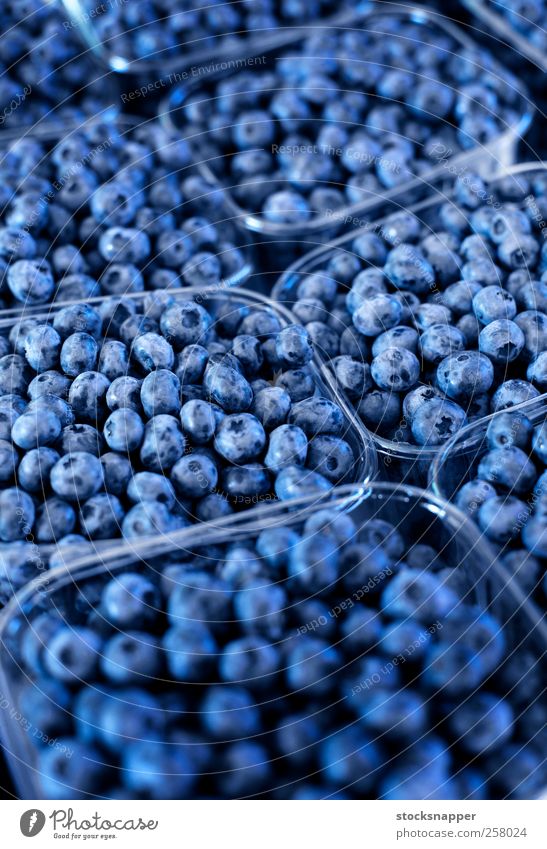 Heidelbeere Markt reif blau Lebensmittel Menschenleer Beeren Container Blaubeeren