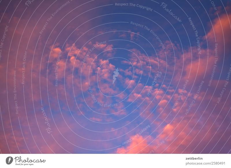 Wolken (rosa) Abenddämmerung Stimmung dramatisch Dramatik Dämmerung Farbe Farbenspiel Himmel Himmel (Jenseits) Hintergrundbild Textfreiraum Natur