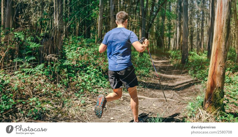 Mann, der am Trail Race teilnimmt Lifestyle Abenteuer Sport Mensch Erwachsene Natur Baum Wald Wege & Pfade Fitness authentisch Geschwindigkeit anstrengen