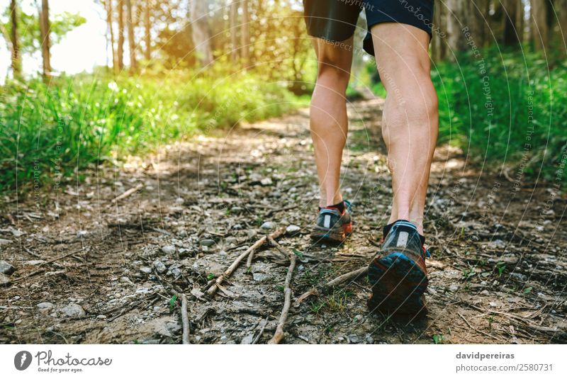 Füße des Mannes, der am Trail Race teilnimmt. Lifestyle Abenteuer Berge u. Gebirge Sport Klettern Bergsteigen Mensch Erwachsene Fuß Natur Baum Wald Wege & Pfade