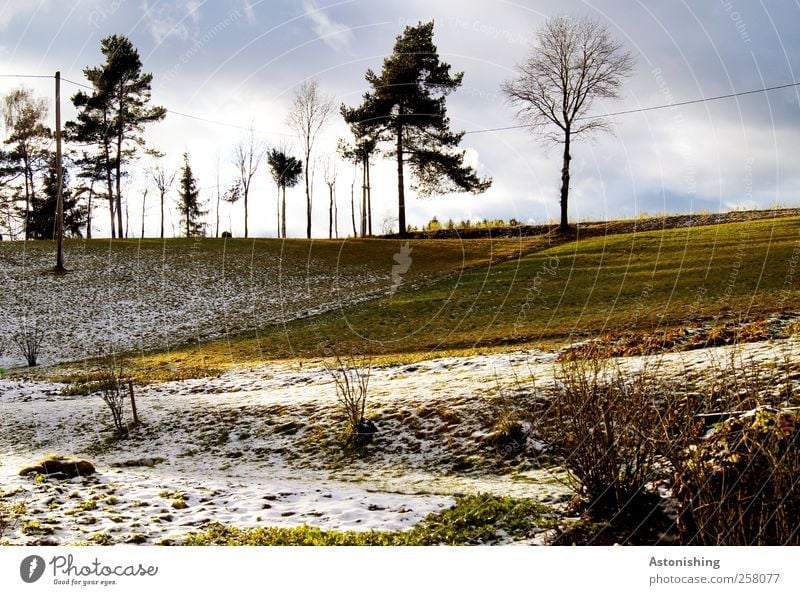 Schnee - oder Schneefrei? Umwelt Natur Landschaft Pflanze Erde Luft Himmel Wolken Sonne Herbst Winter Wetter Schönes Wetter Baum Gras Sträucher Blatt Wiese Feld