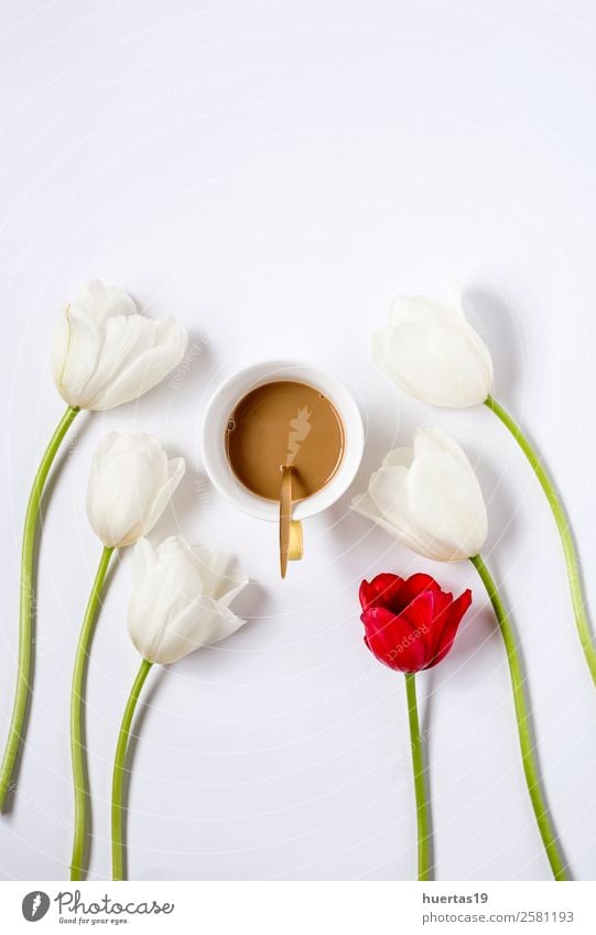Blumiger Hintergrund mit roten und weißen Tulpen und Kaffeetasse, Getränk Heißgetränk elegant Stil Valentinstag Natur Pflanze Blume Blumenstrauß natürlich oben
