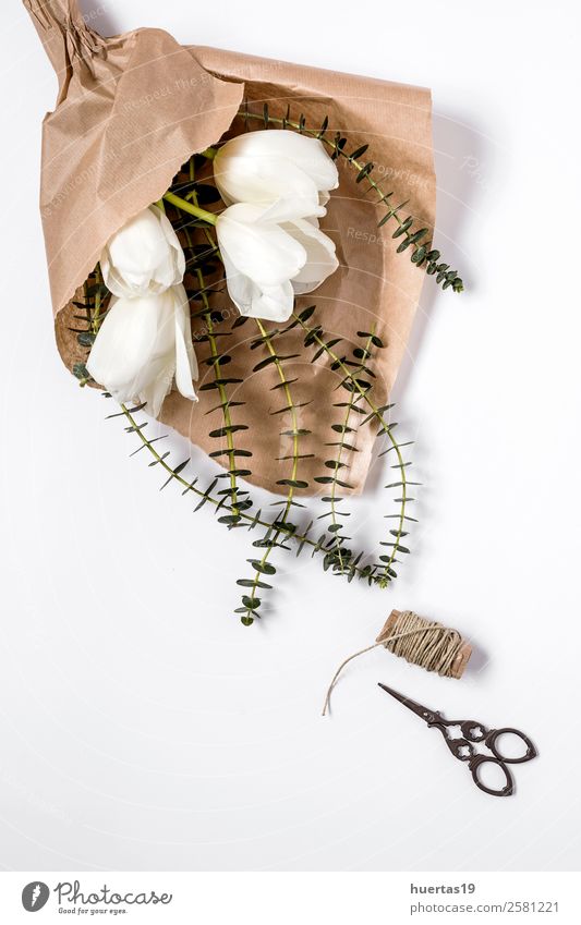 Blumiger Hintergrund mit weißen Tulpen elegant Stil Valentinstag Natur Pflanze Blume Blatt Blumenstrauß Fröhlichkeit frisch natürlich oben grün Leidenschaft