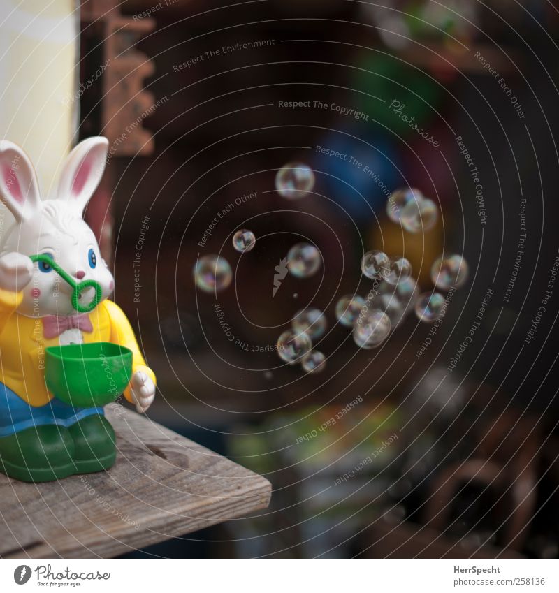 Blasehase Spielzeug lustig Seifenblase Hase & Kaninchen Spielzeugladen Automat Schweben Farbfoto Außenaufnahme Textfreiraum oben Textfreiraum unten