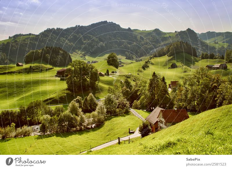 sanfte Hügel Landschaft Erde Sommer Schönes Wetter Alpen Berge u. Gebirge Schweiz Dorf Menschenleer Haus Hütte Erholung wandern grün Stimmung Fernweh